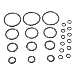 Picture of Seal Kit - Control Valve
