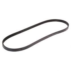 Picture of Belt