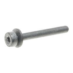 Picture of Socket Head Bolt With Inner
