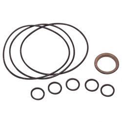 Picture of Seal Kit -  Orbitrol