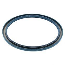Picture of Seal Ring J013838