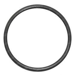 Picture of O-Ring