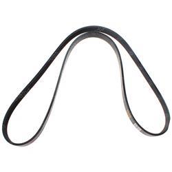 Picture of Belt - Serpentine