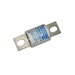 Picture of Fuse 100a