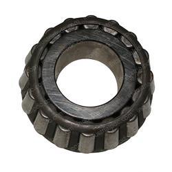 Picture of Cone-Bearing