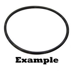 Picture of O-Ring