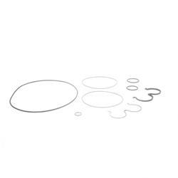 Picture of O-Ring Kit