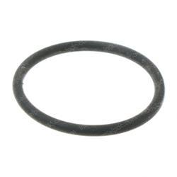 Picture of O-Ring
