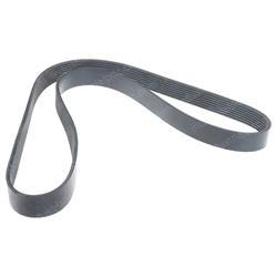 Picture of Belt - Serpentine