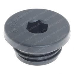 Picture of Plug/Screw