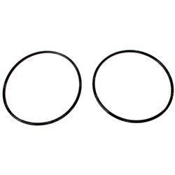 Picture of O-Ring