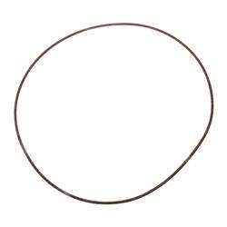 Picture of O-Ring