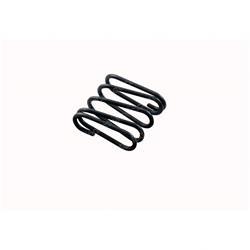 Picture of Spring - Strut