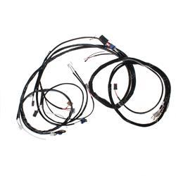 Picture of Harness