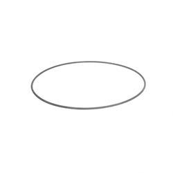 Picture of O-Ring