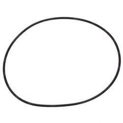 Picture of O-Ring