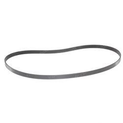 Picture of Belt - Serpentine