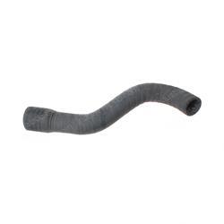 Picture of Hose - Radiator Lower
