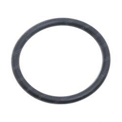 Picture of O-Ring