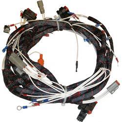 Picture of Harness - Wire