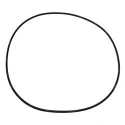 Picture of O-Ring