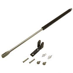 Picture of Spring - Gas With Mounting Kit