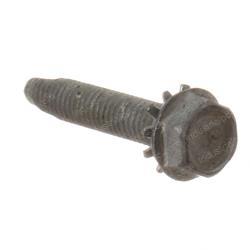 Picture of Bolt/Screw