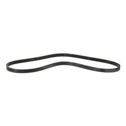 Picture of Belt - Serpentine