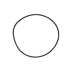 Picture of O-Ring