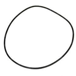 Picture of O-Ring