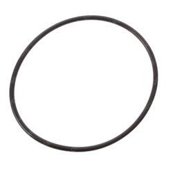 Picture of O-Ring
