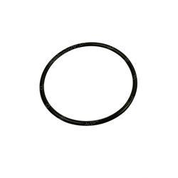Picture of O-Ring