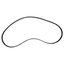 Picture of Belt - Serpentine