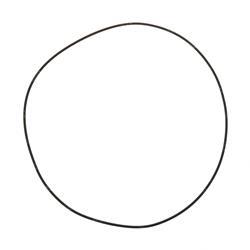 Picture of O-Ring
