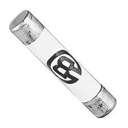 Picture of Fuse - 32 Amp