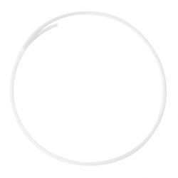 Picture of Ring - Back-Up