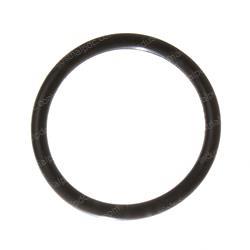 Picture of O-Ring