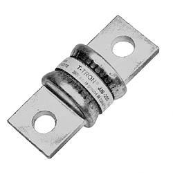 Picture of Fuse - 100 Amp