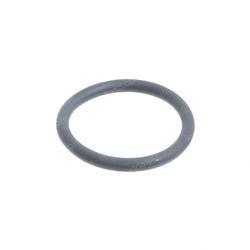Picture of O-Ring