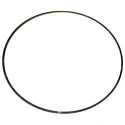 Picture of Ring - Back Up