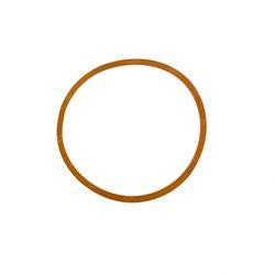 Picture of O-Ring