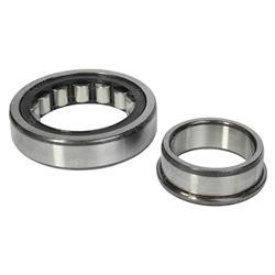 Picture of Bearing - Roller