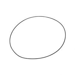 Picture of O-Ring
