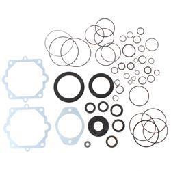 Picture of Seal Kit - Hydrostatic Pump
