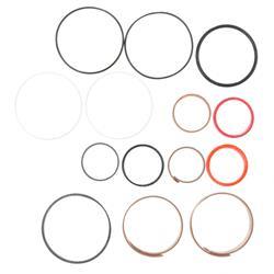 Picture of Seal Kit - Hydraulic Cylinder