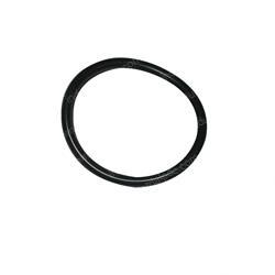 Picture of O-Ring