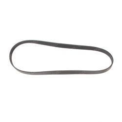 Picture of Belt - Serpentine