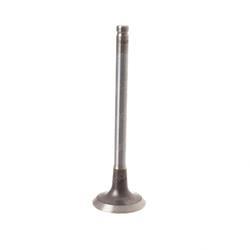 Picture of Exhaust Valve 1 6lgm