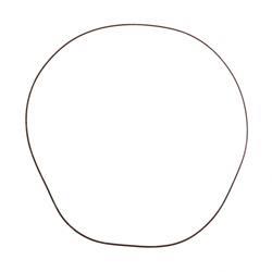 Picture of O-Ring