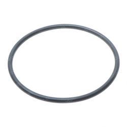 Picture of O-Ring